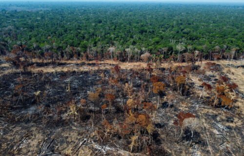 A deforested and burnt area of the Amazon rainforest in September.