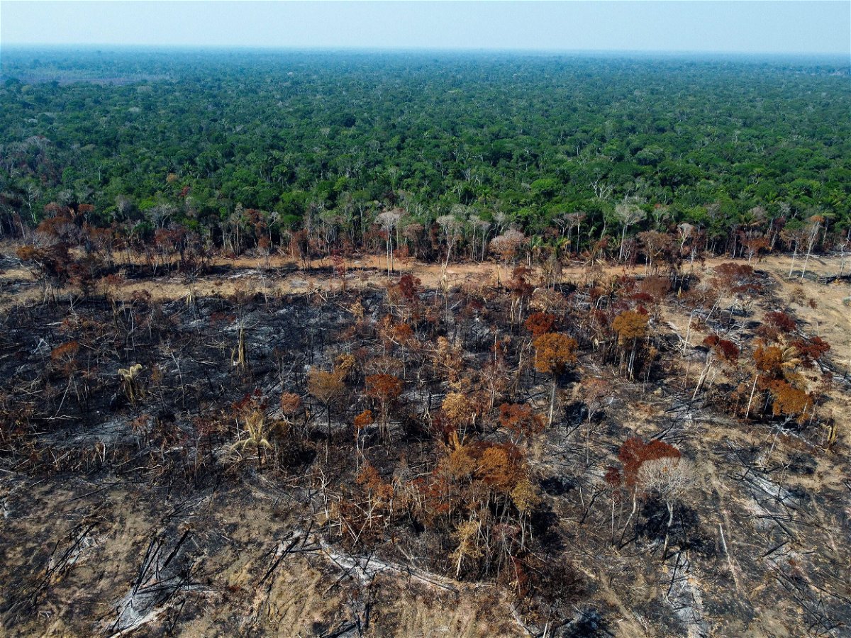 A deforested and burnt area of the Amazon rainforest in September.