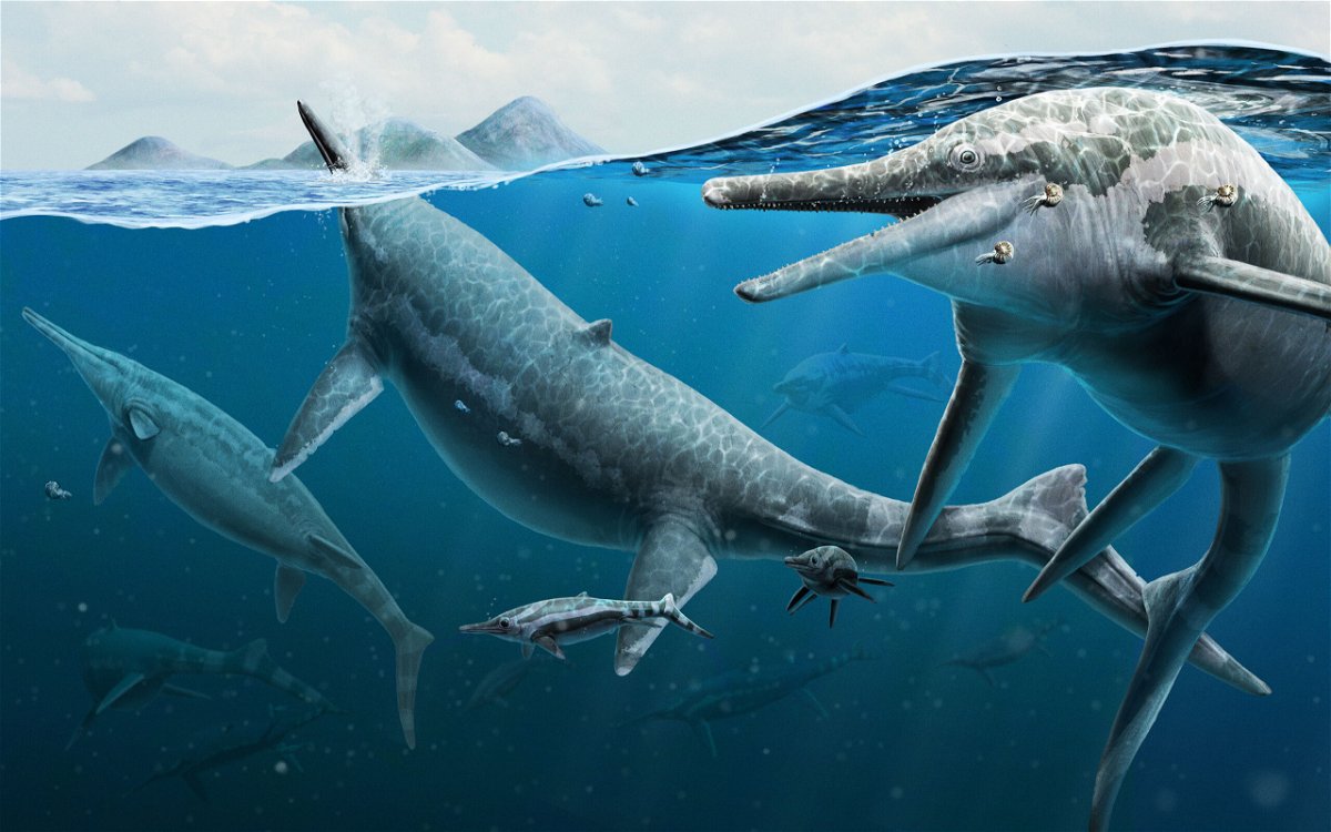 <i>Gabriel Ugueto</i><br/>An artist's reconstruction depicts adult and newly born ichthyosaurs in the ocean.
