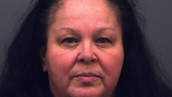 Ana Hernandez mugshot