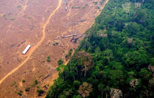 Human activity and drought have degraded more than a third of the remaining Amazon rainforest