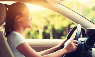 The states with the highest share of young drivers on the road