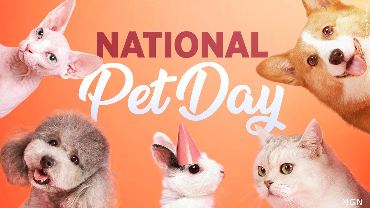 It's National Pet Day! KVIA