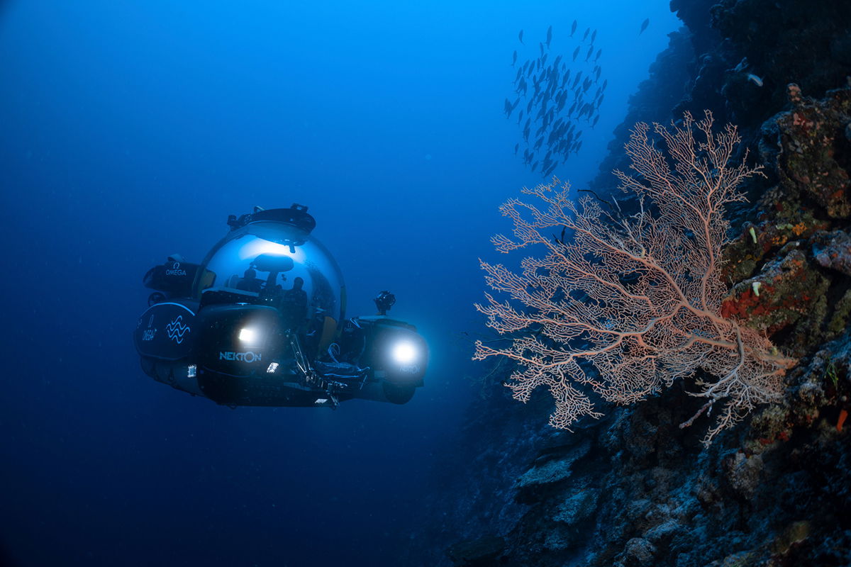 <i>Ocean Census/AP</i><br/>Scientists use deep-sea submersibles to examine coral reefs off the coast of the Maldives in September 2022 as part of a science mission to gain insights on the impact of carbon emissions and overfishing.