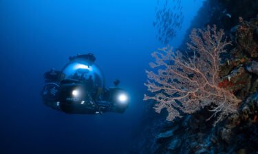 Scientists use deep-sea submersibles to examine coral reefs off the Maldives in September 2022 as part of a mission to gain insights on the impact of carbon emissions and overfishing.
