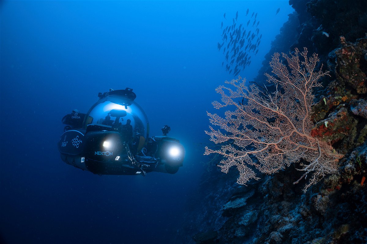 <i>Ocean Census/AP</i><br/>Scientists use deep-sea submersibles to examine coral reefs off the Maldives in September 2022 as part of a mission to gain insights on the impact of carbon emissions and overfishing.