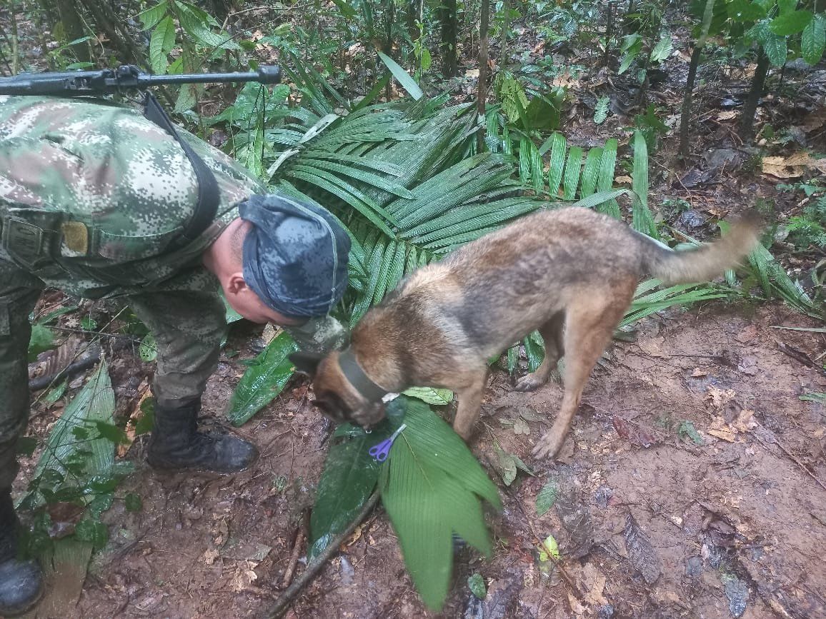 <i>Colombian Civil Aviation Authority</i><br/>Colombian Armed Forces launched a massive search and rescue operation