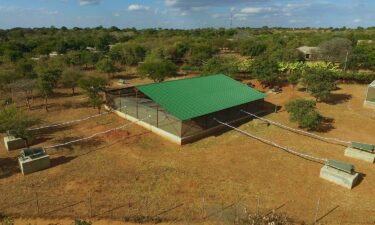 Researchers set up a screened facility the size of a skating rink to help understand how mosquitoes that transmit malaria find humans.