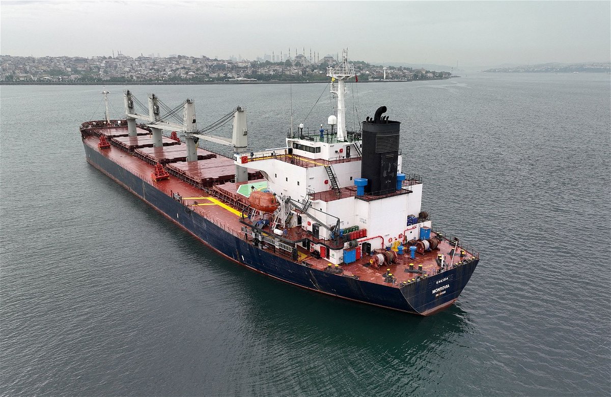 <i>Mehmet Emin Caliskan/Reuters</i><br/>A grain ship awaits inspection in Istanbul