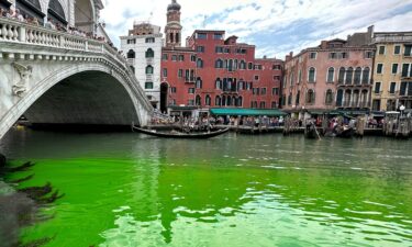 Gondolas navigate by the Rialto Bridge on Venice's historical Grand Canal as a patch of phosphorescent green liquid spreads in it