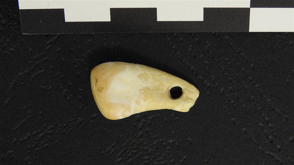 <i>Max Planck Institute for Evolutionary Anthropology</i><br/>The pierced deer tooth was likely worn as a pendant 25