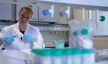 Astrid Andersson takes a sample from a cockatoo feather for analysis at the University of Hong Kong.