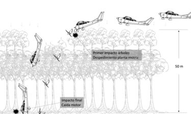 The report says the plane likely first hit the trees of the dense forest