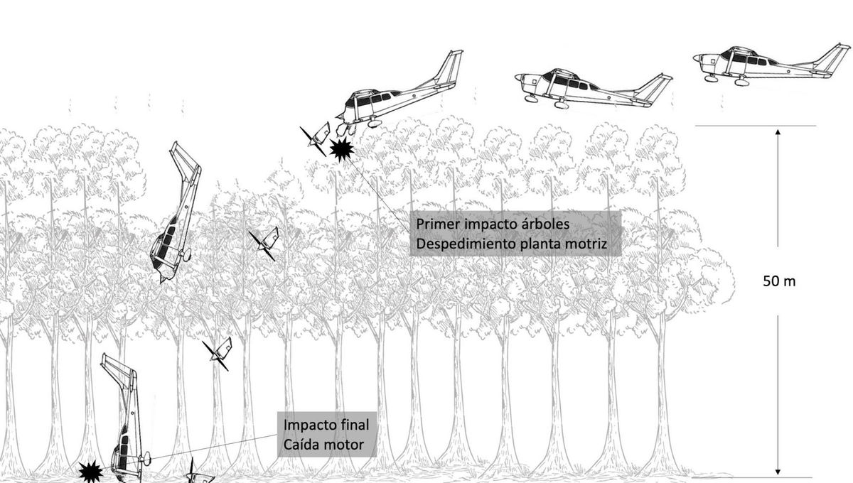 <i>Dirección Técnica de Investigación de Accidentes</i><br/>The report says the plane likely first hit the trees of the dense forest