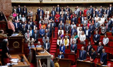 French MPs hold a minute's silence after the knife attack in Annecy.