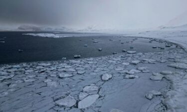 Ice in Svalbard