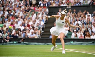 Vondroušová inaction during her semifinal match against Svitolina.