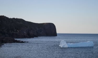 An iceberg floats in Flatrock Cove