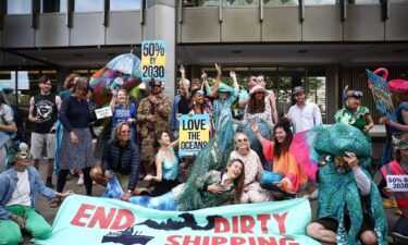 Activists outside the International Maritime Organization conference in London on July 3.