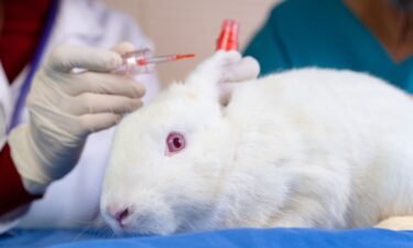 Canada has joined more than 40 countries to ban cosmetic testing on animals.
