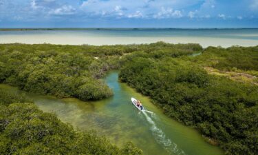 New research shows that our oceans have been changing color over the last 20 years.