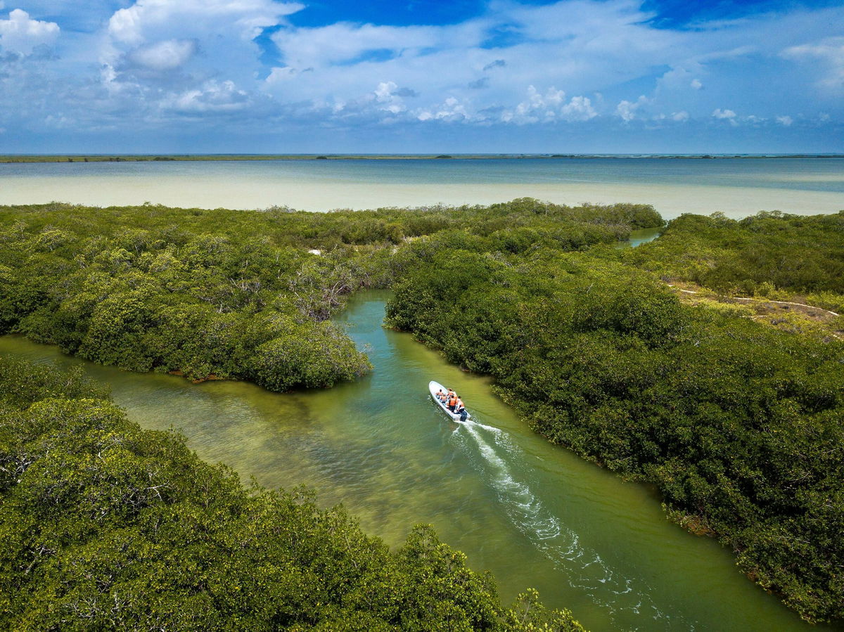 <i>Sergi Reboredo/VW Pics/Universal Images Group/Getty Images</i><br/>New research shows that our oceans have been changing color over the last 20 years.