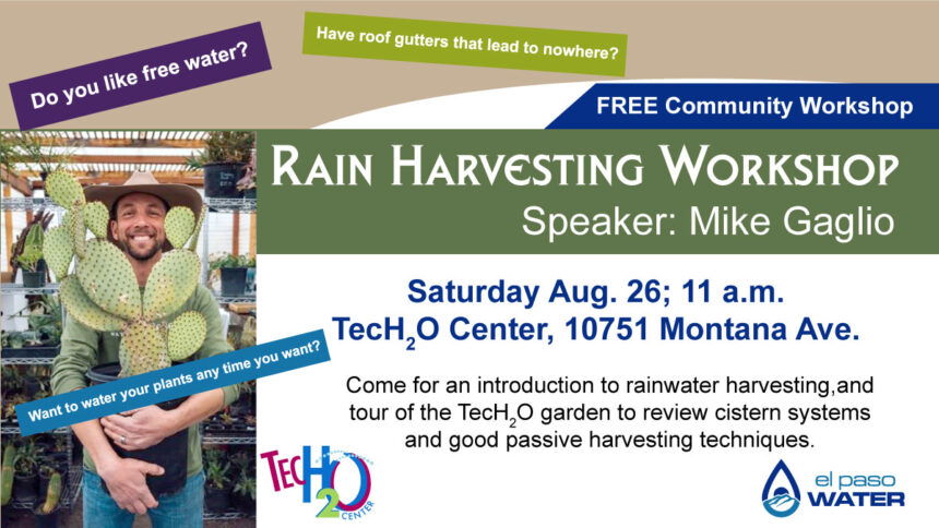 Rain-Harvesting-post