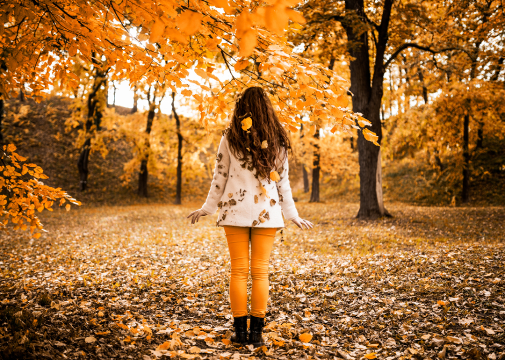Guidelines for Preserving Wellness throughout the Transition into Fall