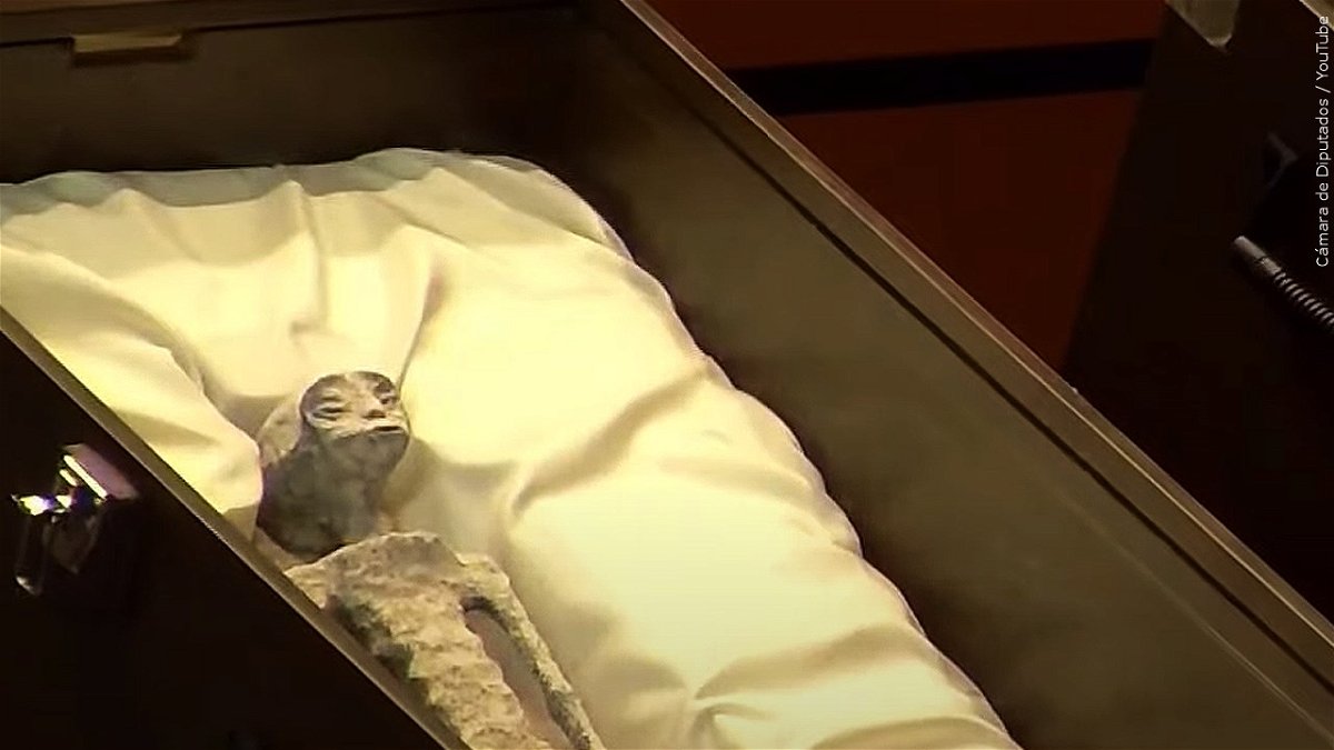 Alleged non-human alien corpse presented to Mexican Congress, Photo Date: 9/13/2023