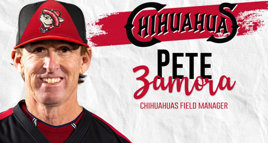 CHIHUAHUAS NEW MANAGER PIC