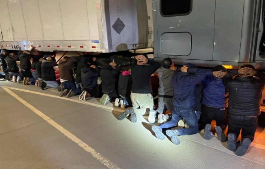 Las Cruces border patrol K-9 units find 18 migrants inside semi - KVIA