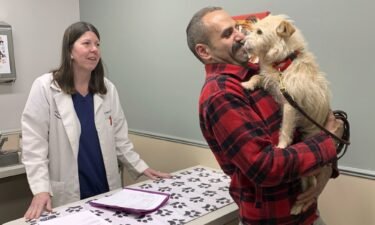 Mehrad Houman of San Diego holds Mishka after the dog was examined Friday by veterinarian Nancy Pillsbury in Harper Woods