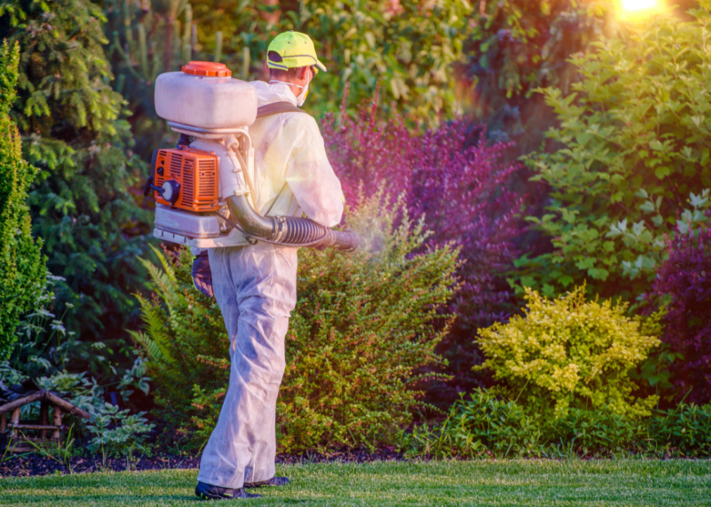 Itching for a new venture? Here are the 20 best US metro areas to start a pest control business in 2024
