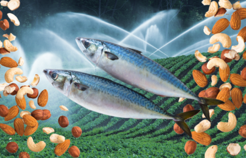 The most water-intensive crops and meat