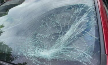 Joan Ladik said a turkey flew into the windshield of the car when she and her husband were on their way home from Dunstable.