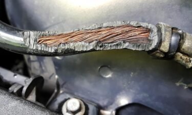 Rodent damage: Will your car insurance cover chewed-up wiring?