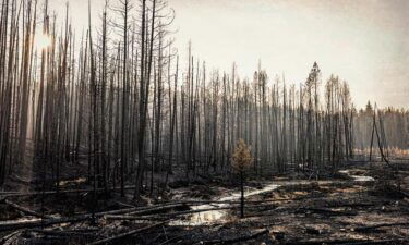 Which U.S. counties are at the greatest risk for wildfire damage?