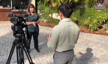 Kelly Fad discusses with WPTV reporter Joel Lopez the behavior of alligators during mating season.