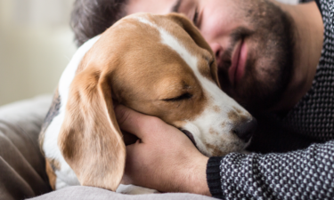 The power of pets against loneliness