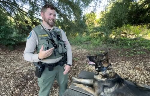 State Park ranger Brett Weber and his K-9 Rino were the first team to reach a missing hiker who had been lost in the Santa Cruz mountains for 10 days.