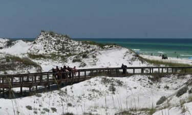 First responders remove an injured woman from the beach after she was bitten by a shark in Walton County