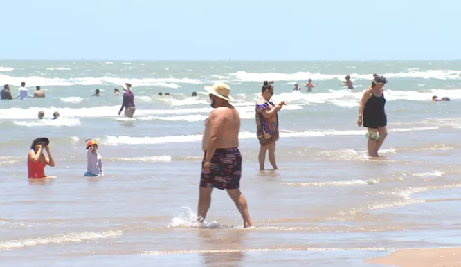 Multiple shark attacks were reported in South Padre Island, Texas, July 4, 2024.