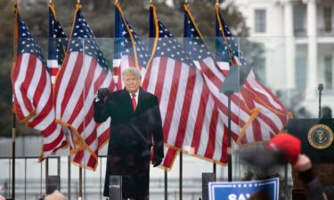 President Donald Trump speaks to supporters from The Ellipse near the White House on January 6