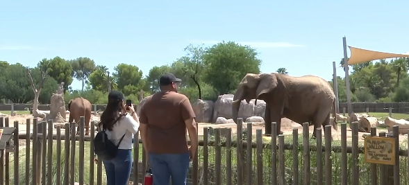 <i>KGUN via CNN Newsource</i><br/>The Reid Park Zoo hosted a 10th birthday party for Nandi