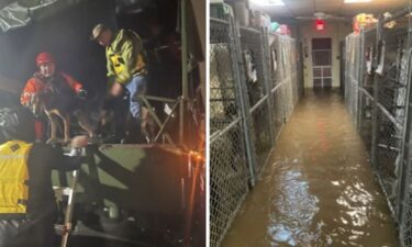 Residents in a New Jersey community stepped up to help after an animal shelter completely flooded during Tuesday's drenching storms.