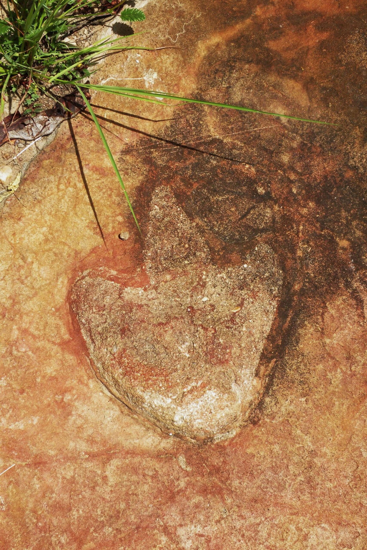 <i>Southern Methodist University via CNN Newsource</i><br/>Two dinosaur tracks from the Koum Basin in Cameroon can be seen in what was once a basin 120 billion years ago.