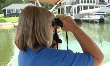 Last Sunday on a quiet lake in Ottawa County someone reported seeing a 6-foot alligator. Since then