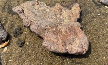 New Jersey environmental officials are warning people in one Jersey Shore town not to touch anything at the beach