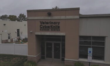 A high-tech kind of radiation designed for people is also being used for dogs and cats with cancer. The only dedicated veterinary center providing this treatment is in Malvern