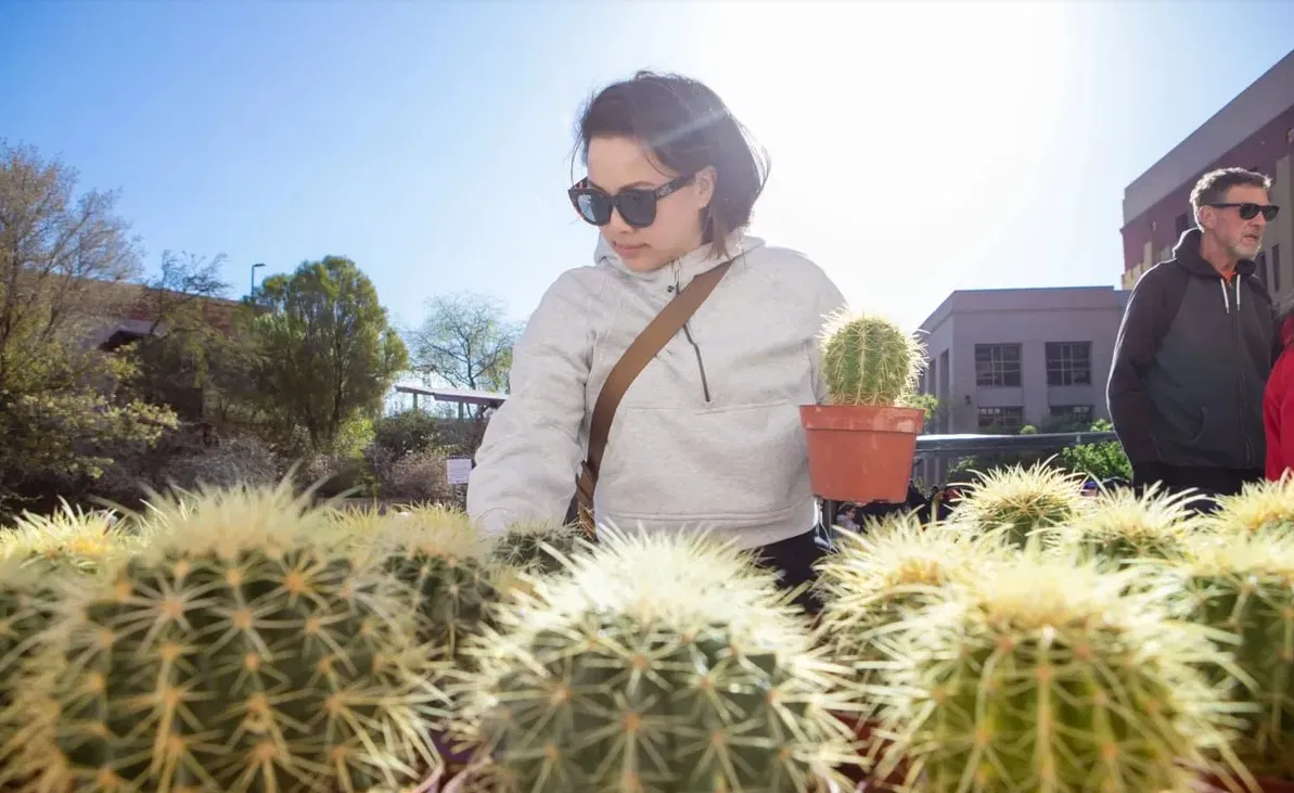 The fall FloraFest native plant sale returns Saturday, Sept. 28, to the University of Texas at El Paso campus offering a chance to support the Chihuahuan Desert Gardens while enhancing your home through the purchase of water-conserving native plants.